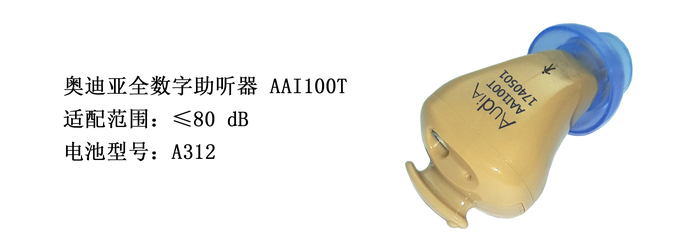 奥迪亚AAI100T1.jpg