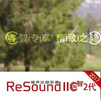 瑞声达智隐